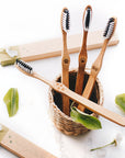 Brosses à dents en bambou