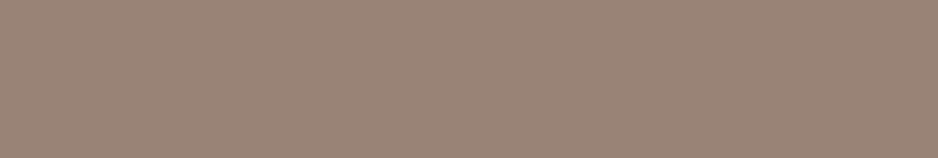 Solid light brown color swatch