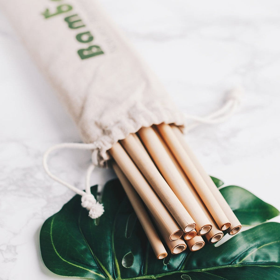 Pailles réutilisables et à usage unique (bambou, roseau et riz) -  Directecogreen