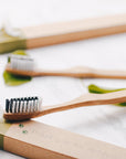 Les brosses à dents en bambou